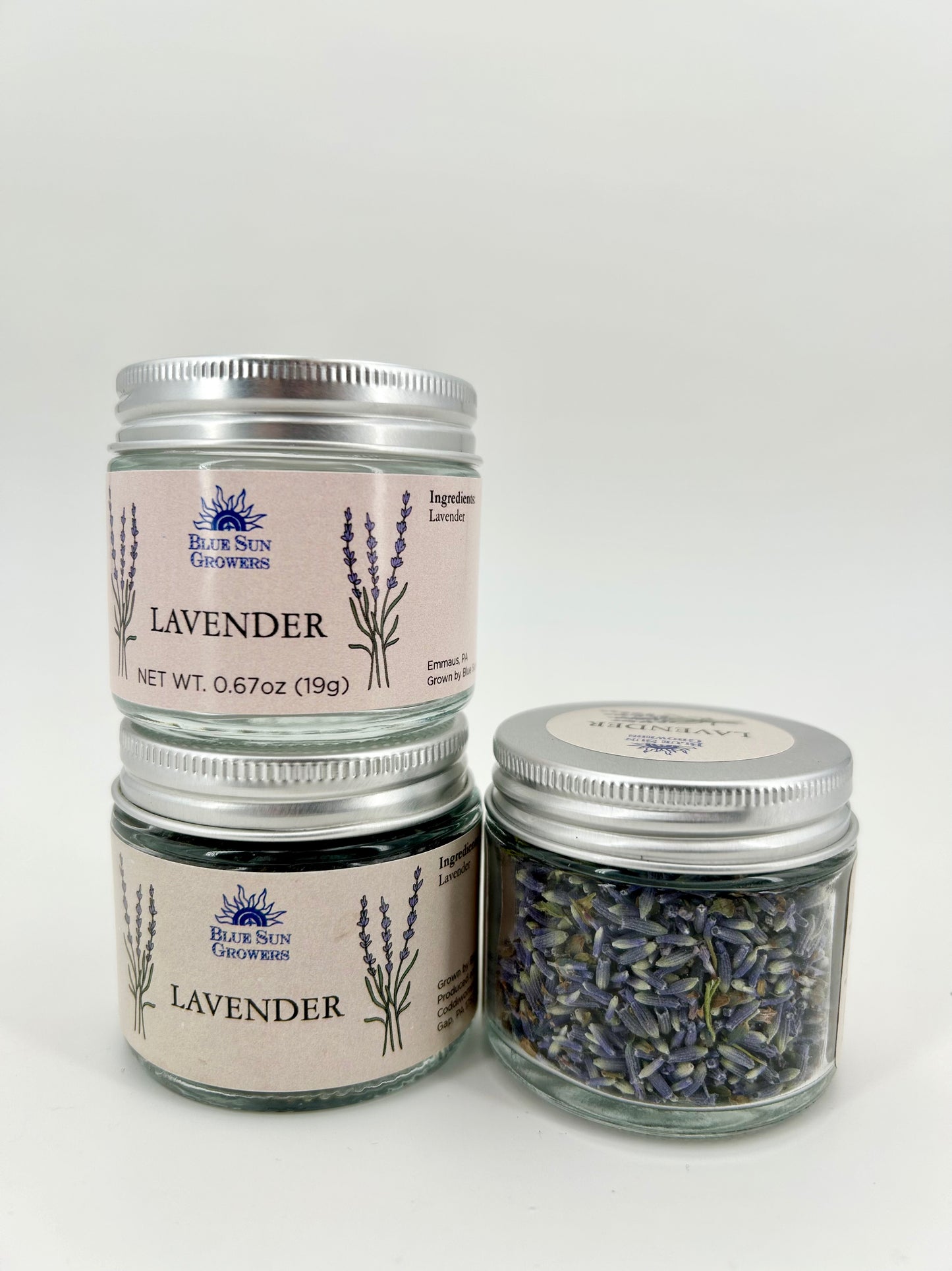 Lavender