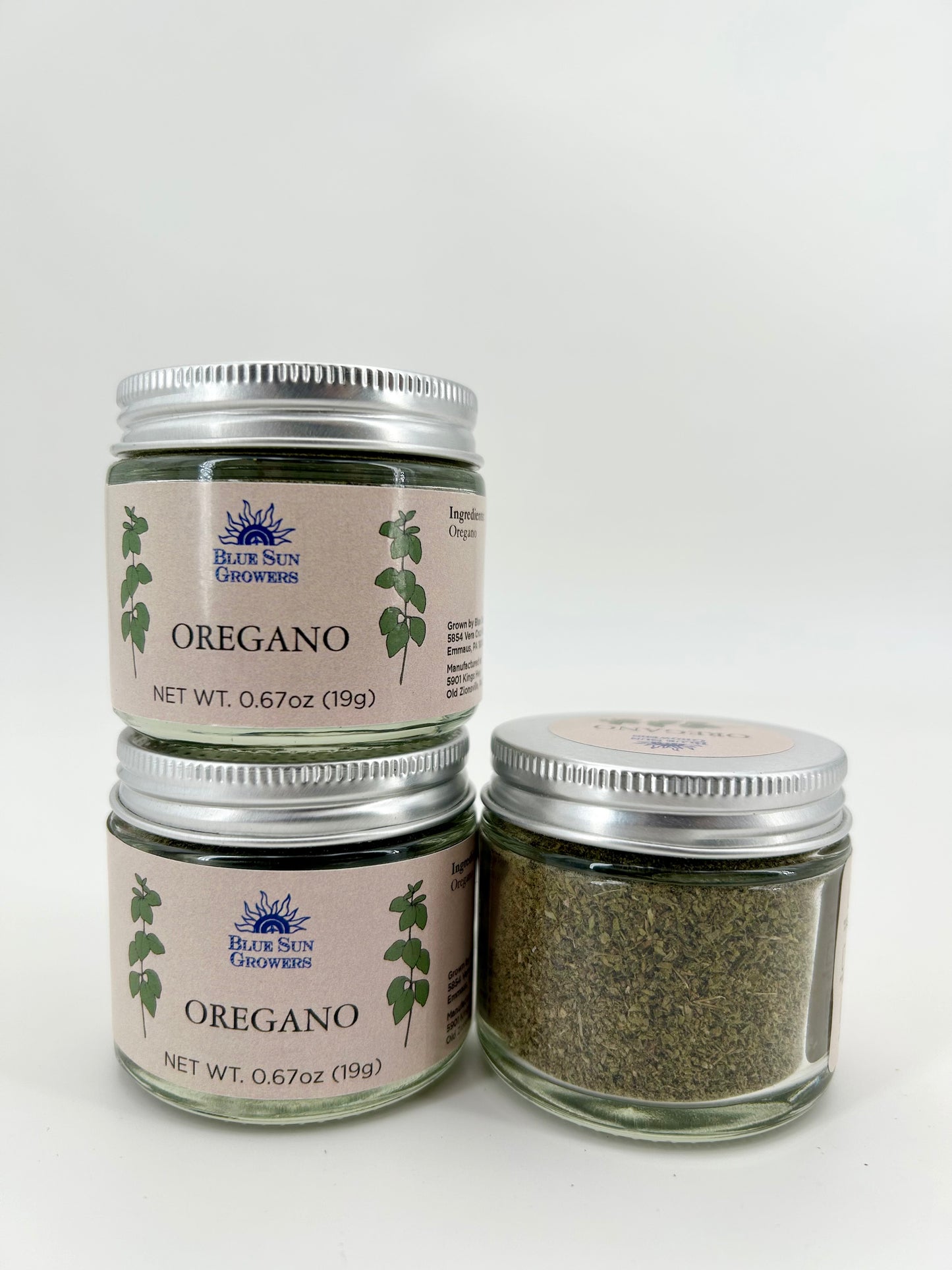Oregano