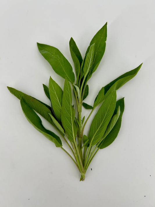 Fresh Sage