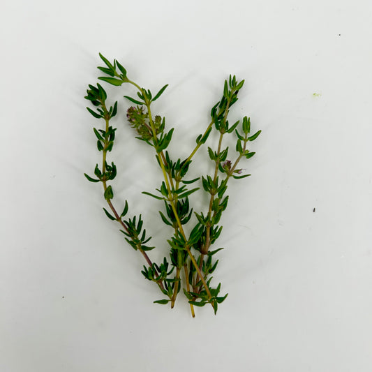 Fresh Thyme