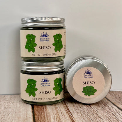 Shiso