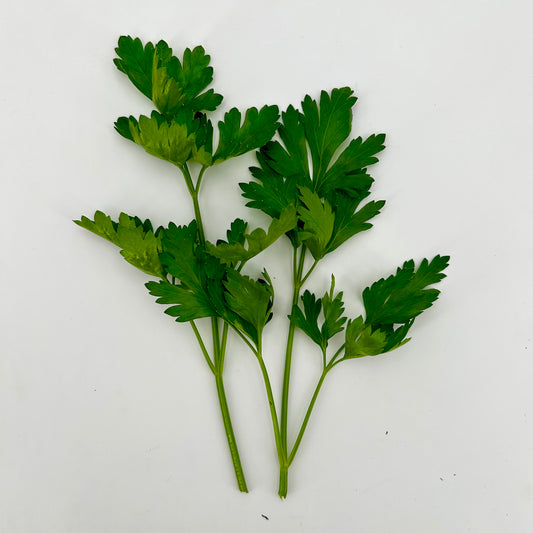 Fresh Parsley