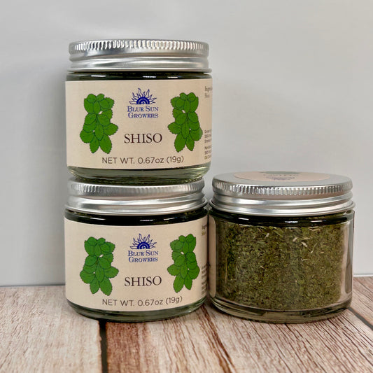 Shiso
